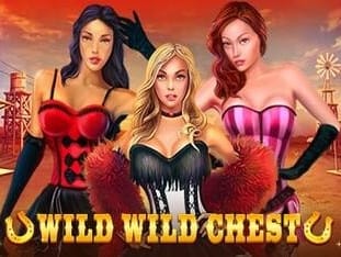 Wild Wild Chest screenshot